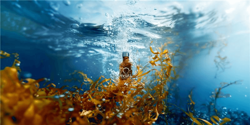 ISS Inclita Seaweed Solutions